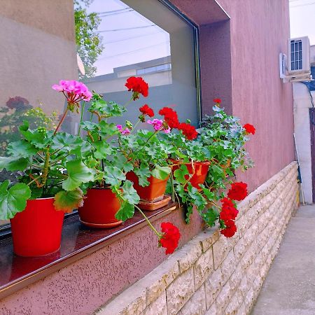 Luta Studio Bucharest Exterior photo
